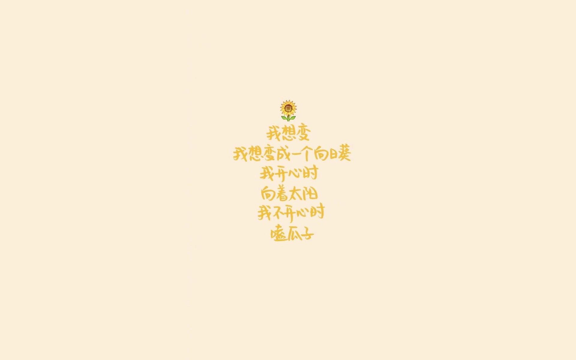 世界帆船赛事气象预报覆盖精度提升方案公布，世界顶级帆船赛事